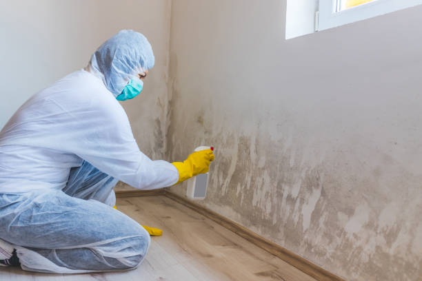 Mold Remediation specialist working in Myakka City